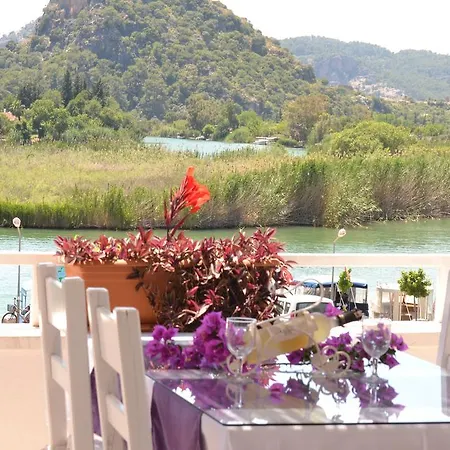 Отель Terrace